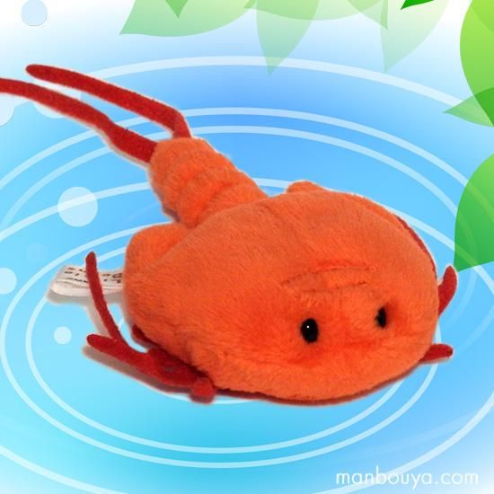 カブトエビのぬいぐるみ グッズ 雑貨 A Show Little Beans リトルビーンズ 兜海老9cm 海の雑貨 水族館グッズ 動物ぬいぐるみ通販ショップ まんぼう屋ドットコム