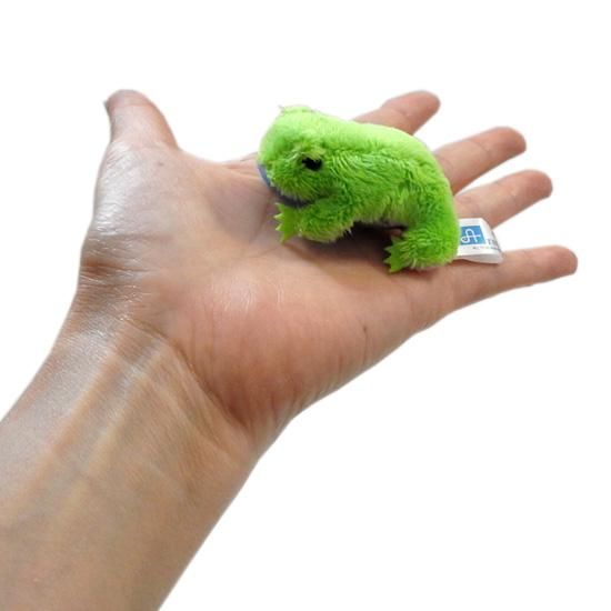 カエルグッズ ぬいぐるみ雑貨 A Show 栄商 小さいかわいいぬいぐるみ ちびだま蛙 5 5cm 海の雑貨 水族館グッズ 動物ぬいぐるみ通販ショップ まんぼう屋ドットコム カエルグッズ ぬいぐるみ雑貨 A Show 栄商 小さいかわいいぬいぐるみ ちびだま蛙 5 5cm 海の雑貨 水族館グッズ 動物ぬいぐるみ通販ショップ まんぼう屋ドットコム