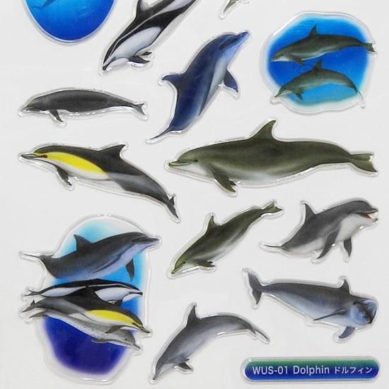 イルカのシール 綺麗なリアルデザイン Aipワールドネイチャークラシック ドルフィン 海の雑貨 水族館グッズ 動物ぬいぐるみ通販ショップ まんぼう屋ドットコム