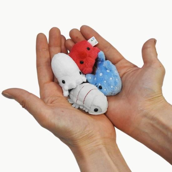 ダイオウグソクムシ ぬいぐるみ 深海生物 グッズ A-SHOW 栄商 ダイオウグソクムシ ぬいぐるみ 深海生物 グッズ A-SHOW 栄商