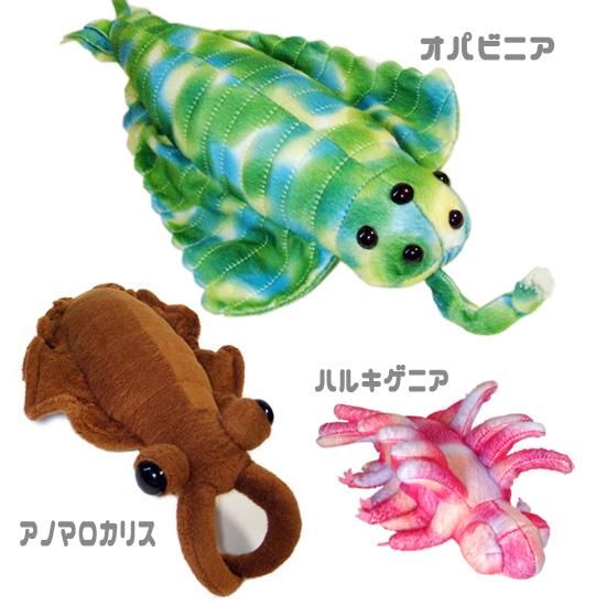 10%OFF 古代の海洋生物 ぬいぐるみ グッズ A-SHOW カンブリア紀 海の