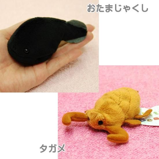 ぬいぐるみ セット A-SHOW ザリガニ おたまじゃくし ゲンゴロウ ぬいぐるみ セット A-SHOW ザリガニ おたまじゃくし ゲンゴロウ