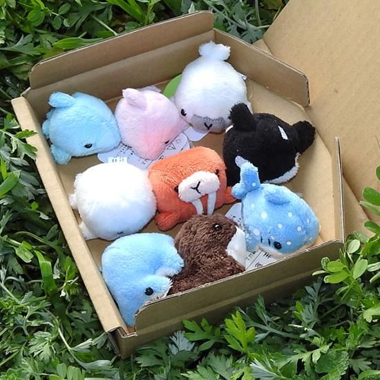 5%OFF 水族館 グッズ ぬいぐるみ セット A-SHOW ムニュマム 5%OFF 水族館 グッズ ぬいぐるみ セット A-SHOW ムニュマム