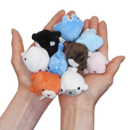 ムニュムニュ　ぬいぐるみ　お風呂もいっしょ　イルカ　未開封 ムニュムニュ ぬいぐるみ お風呂もいっしょ イルカ 未開封