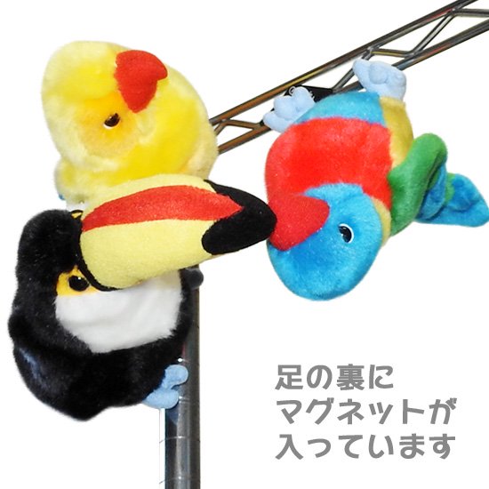 小鳥 ぬいぐるみ インコ 雑貨 キュート販売 CUTE safari collection