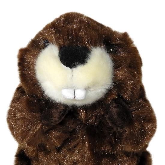 動物 ビーバー ぬいぐるみ 海狸 キュート販売 Cute フォレストエンジェル ビーバー 16cm 海の雑貨 水族館グッズ 動物ぬいぐるみ通販ショップ まんぼう屋ドットコム 動物 ビーバー ぬいぐるみ 海狸 キュート販売 Cute フォレストエンジェル ビーバー 16cm 海の雑貨 水族館グッズ 動物ぬいぐるみ通販ショップ まんぼう屋ドットコム