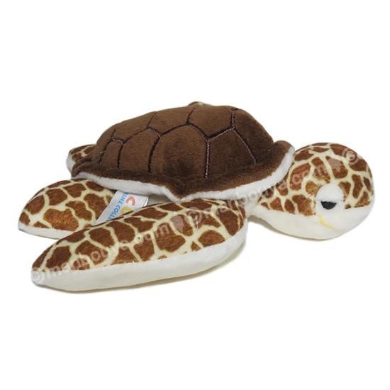 アカウミガメ　ぬいぐるみ Amazon.co.jp: カロラータ アカウミガメ ぬいぐるみ (Mサイズ