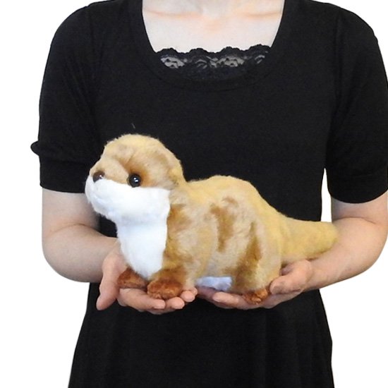 動物 カワウソ ぬいぐるみ グッズ キュート販売 CUTE フォレスト