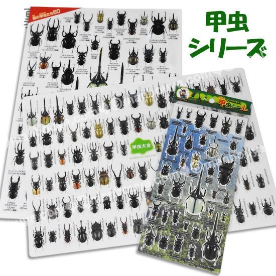 A4サイズ下敷き 昆虫 グッズ 図鑑したじき カブトムシ クワガタ A4サイズ下敷き 昆虫 グッズ 図鑑したじき カブトムシ クワガタ