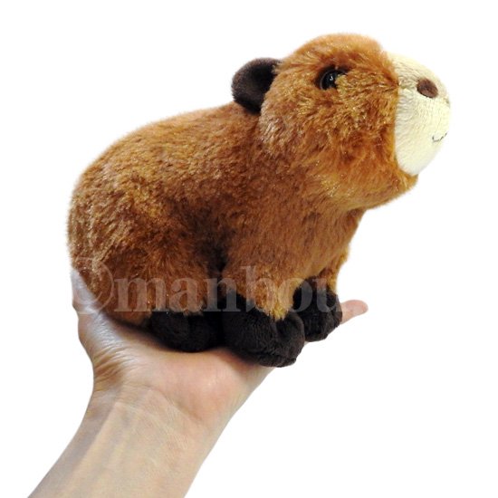 動物園 カピバラ ぬいぐるみ キュート販売 CUTE サファリコレクション