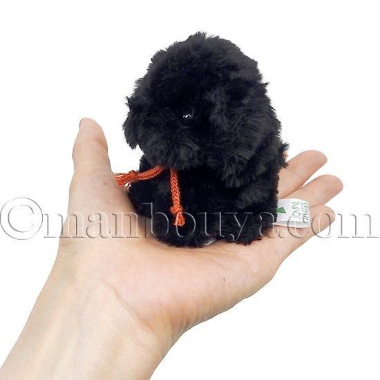 たけのこ ぬいぐるみ 犬 ラブラドール TAKENOKO キャンディ