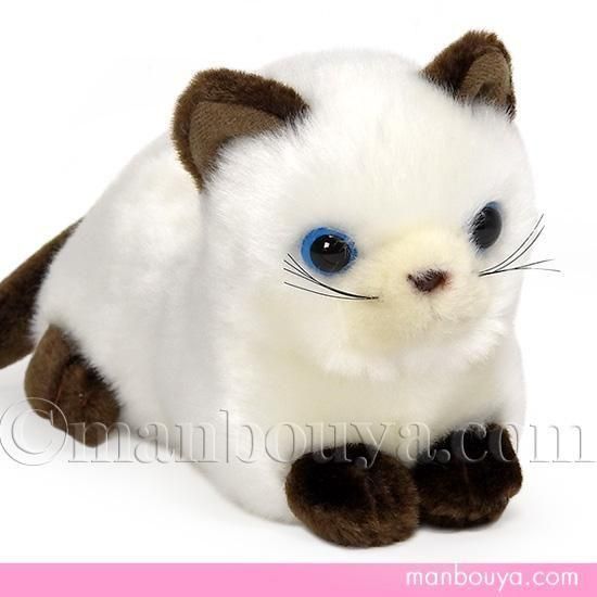 ǭ ̤ ͥ å Τ TAKENOKO ץɤ꡼ߥ ͥ 17cm