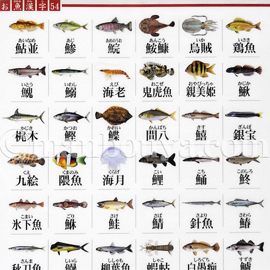 0以上 イラスト 魚 一覧 無料の動物画像