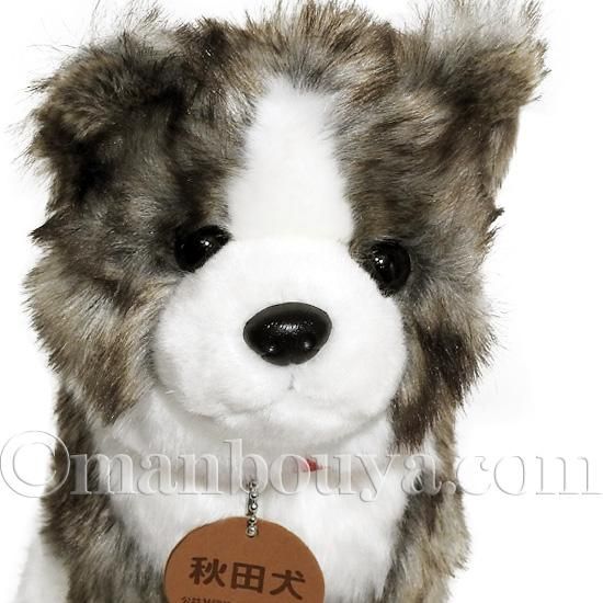 わんこポシェットを下げた秋田犬の虎毛くん わかり易く