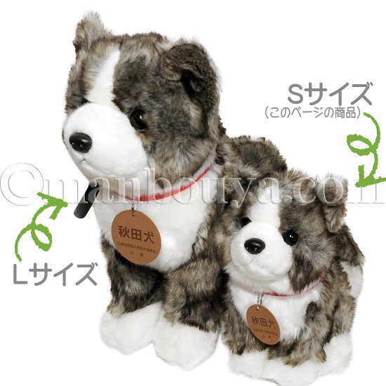 秋田犬 ぬいぐるみ 虎毛 保存会 キュート販売 CUTE 座りポーズ Mサイズ