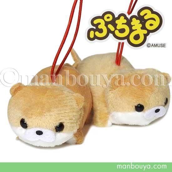 カワウソ ぬいぐるみ アミューズ Amuse ぷちまる 水族館 かわうそ 這い 6 5cm 海の雑貨 水族館グッズ 動物ぬいぐるみ通販ショップ まんぼう屋ドットコム カワウソ ぬいぐるみ アミューズ Amuse ぷちまる 水族館 かわうそ 這い 6 5cm 海の雑貨 水族館グッズ 動物ぬいぐるみ通販ショップ まんぼう屋ドットコム