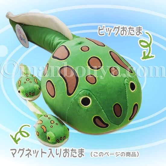 オタマジャクシのぬいぐるみ カエル グッズ Tst 101 ベルツノおたまじゃくしマグネット 12cm 海の雑貨 水族館グッズ 動物ぬいぐるみ通販ショップ まんぼう屋ドットコム オタマジャクシのぬいぐるみ カエル グッズ Tst 101 ベルツノおたまじゃくしマグネット 12cm 海の雑貨 水族館グッズ 動物ぬいぐるみ通販ショップ まんぼう屋ドットコム