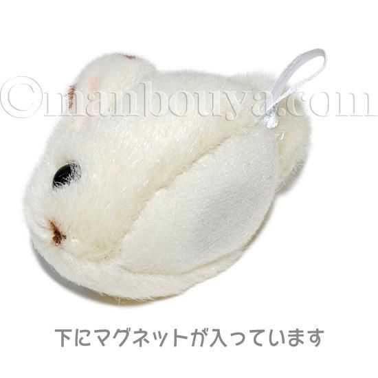 うさぎ ぬいぐるみ 動物園 Aqua ネイチャーマグネット ウサギ ベージュ 7cm 海の雑貨 水族館グッズ 動物ぬいぐるみ通販ショップ まんぼう屋ドットコム うさぎ ぬいぐるみ 動物園 Aqua ネイチャーマグネット ウサギ ベージュ 7cm 海の雑貨 水族館グッズ 動物ぬいぐるみ通販ショップ まんぼう屋ドットコム