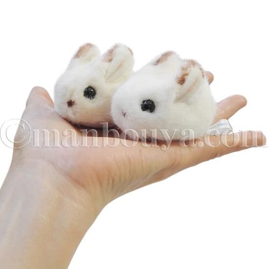 うさぎ ぬいぐるみ 動物園 Aqua ネイチャーマグネット ウサギ ベージュ 7cm 海の雑貨 水族館グッズ 動物ぬいぐるみ通販ショップ まんぼう屋ドットコム うさぎ ぬいぐるみ 動物園 Aqua ネイチャーマグネット ウサギ ベージュ 7cm 海の雑貨 水族館グッズ 動物ぬいぐるみ通販ショップ まんぼう屋ドットコム