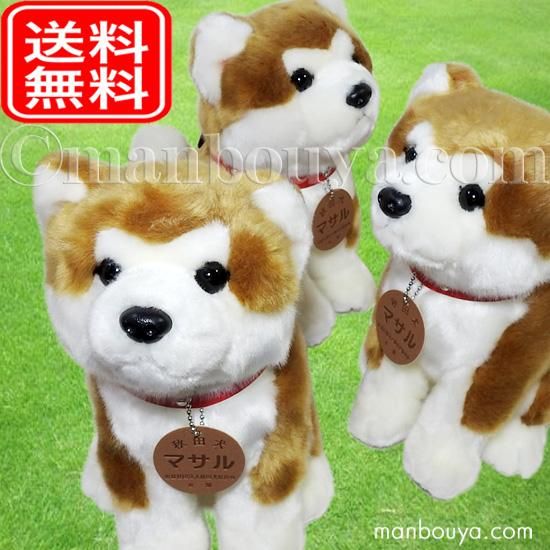 秋田犬 マサル ぬいぐるみ キュート販売 Cute あきたいぬ 座りポーズ M 25cm 3個セット 送料無料 海の雑貨 水族館グッズ 動物ぬいぐるみ通販ショップ まんぼう屋ドットコム