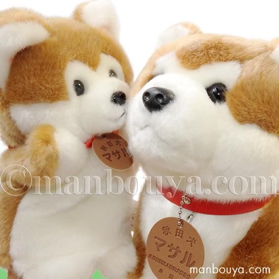 5 Off 秋田犬 マサル ハンドパペット ぬいぐるみ キュート販売 Cute 座りm パペット セット 海の雑貨 水族館グッズ 動物ぬいぐるみ通販ショップ まんぼう屋ドットコム