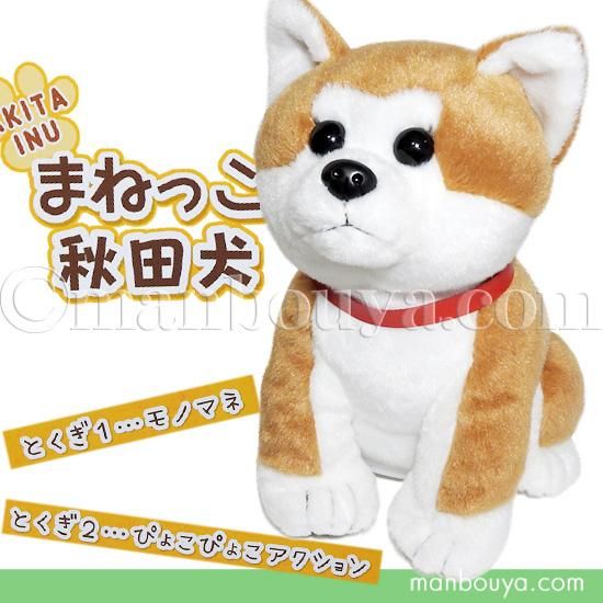 まねっこぬいぐるみ 秋田犬 おしゃべりものまねぬいぐるみ キュート販売 Cute まねっこ秋田犬 19cm 海の雑貨 水族館グッズ 動物ぬいぐるみ通販ショップ まんぼう屋ドットコム