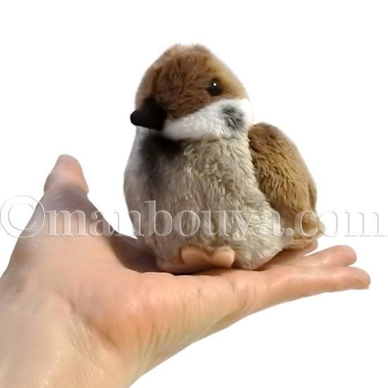 スズメ ぬいぐるみ 野鳥 Tst 太洋産業貿易 101 すずめ 12cm 海の雑貨 水族館グッズ 動物ぬいぐるみ通販ショップ まんぼう屋ドットコム スズメ ぬいぐるみ 野鳥 Tst 太洋産業貿易 101 すずめ 12cm 海の雑貨 水族館グッズ 動物ぬいぐるみ通販ショップ まんぼう屋ドットコム