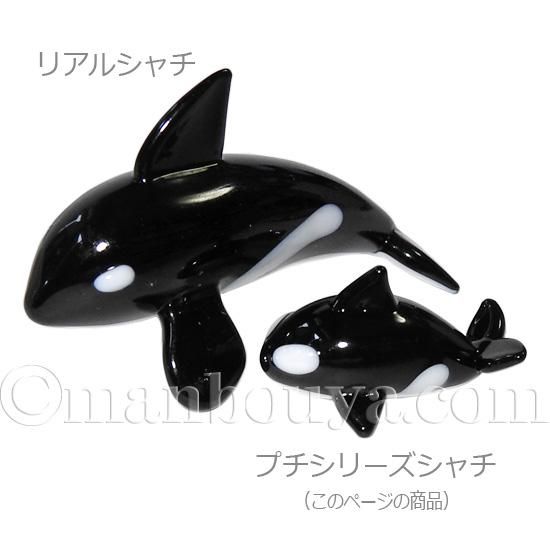 シャチ　歯　牙　希少品　骨董品　クジラ　イルカ　ハンドメイド クジラ 歯 シャチ イルカ 骨 骨董品 ハンドメイド トローリング