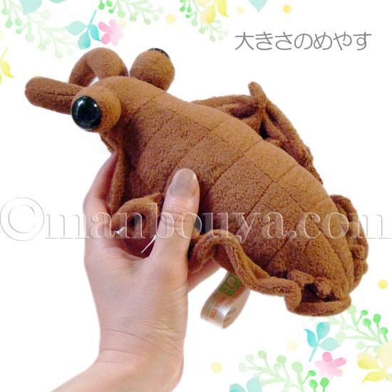 アノマロカリス ぬいぐるみ アクセサリー セット フラワーコスプレ A Show アノマロm 25cm 海の雑貨 水族館グッズ 動物ぬいぐるみ通販ショップ まんぼう屋ドットコム アノマロカリス ぬいぐるみ アクセサリー セット フラワーコスプレ A Show アノマロm 25cm 海の雑貨 水族館グッズ 動物ぬいぐるみ通販ショップ まんぼう屋ドットコム