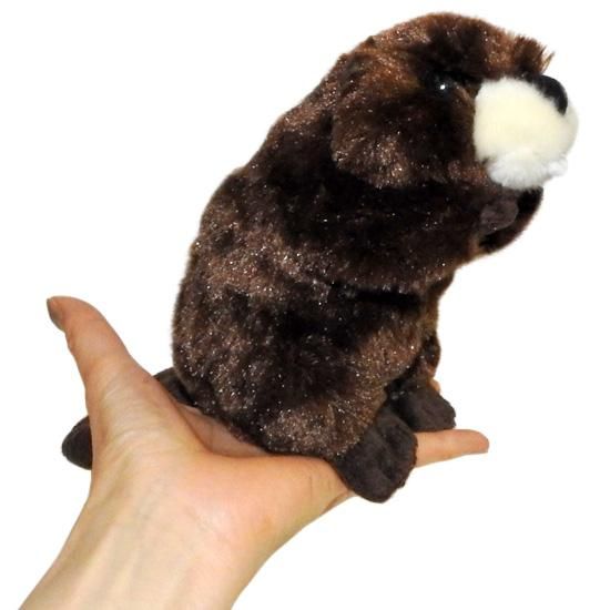 海賊 動物 ビーバー ぬいぐるみ キュート販売 Cute ビーバー 16cm 海賊なりきり隊 海の雑貨 水族館グッズ 動物ぬいぐるみ通販ショップ まんぼう屋ドットコム 海賊 動物 ビーバー ぬいぐるみ キュート販売 Cute ビーバー 16cm 海賊なりきり隊 海の雑貨 水族館グッズ 動物ぬいぐるみ通販ショップ まんぼう屋ドットコム