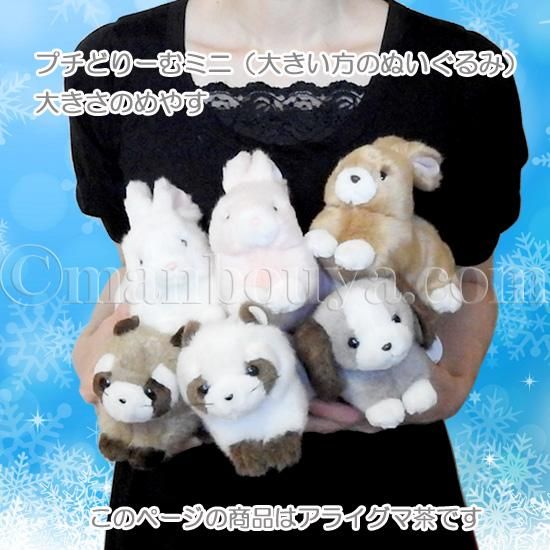 クリスマス ぬいぐるみ アライグマ たけのこ TAKENOKO プチど