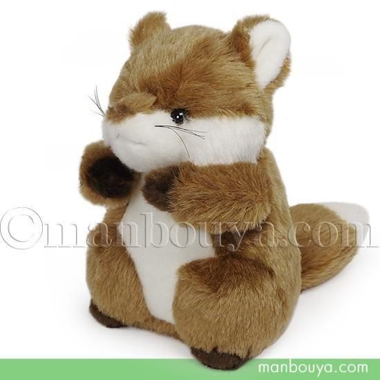 ĥ ̤ ưʪ Τ TAKENOKO Τʤ S Ĥ 20cm