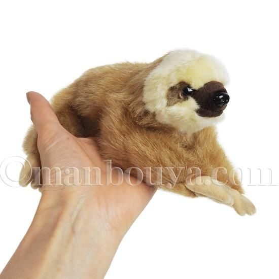 最高の壁紙 ナマケモノ 赤ちゃん 最高の花の画像 最高の壁紙 ナマケモノ 赤ちゃん 最高の花の画像