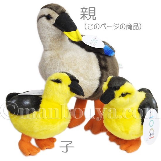 カルガモ ぬいぐるみ 鳥 TST 太洋産業貿易 101シリーズ 軽鴨 親 28cm - 海の雑貨・水族館グッズ・動物ぬいぐるみ通販ショップ  まんぼう屋ドットコム