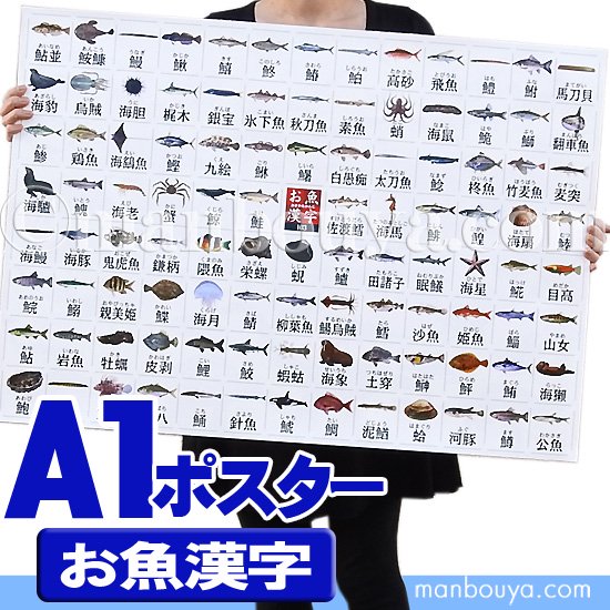 海洋生物 アートポスター インテリア 特大 A1サイズ 図鑑タイプポスター お魚漢字