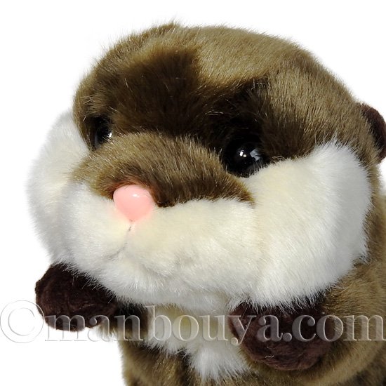 コツメカワウソ ぬいぐるみ 動物園 キュート販売 CUTE おねだり コツメカワウソ S 17cm（837087） - 海の雑貨・水族館グッズ・動物 ぬいぐるみ通販ショップ まんぼう屋ドットコム