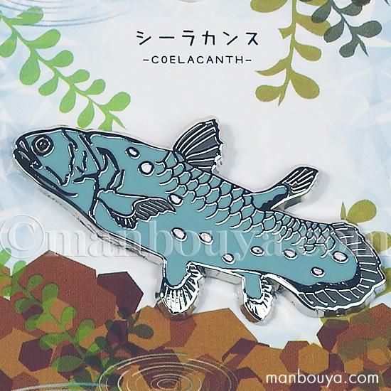 シーラカンス 深海魚 グッズ ピンバッジ アクセサリー ピンズ ピンバッヂ かなる 海の雑貨 水族館グッズ 動物ぬいぐるみ通販ショップ まんぼう屋ドットコム シーラカンス 深海魚 グッズ ピンバッジ アクセサリー ピンズ ピンバッヂ かなる 海の雑貨 水族館グッズ 動物ぬいぐるみ通販ショップ まんぼう屋ドットコム