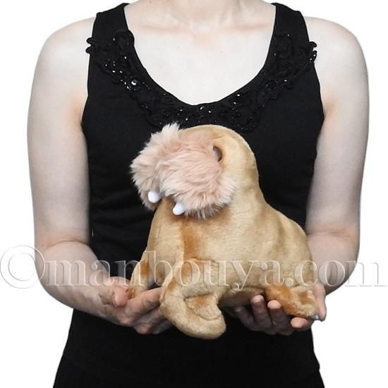 セイウチ ぬいぐるみ 水族館グッズ キュート販売 CUTE 海象 S