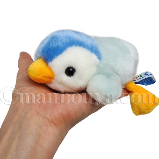 ペンギン ぬいぐるみ 水族館 お土産 キュート販売 CUTE ベビーペンギン SSサイズブルー 15cm（504597） -  海の雑貨・水族館グッズ・動物ぬいぐるみ通販ショップ まんぼう屋ドットコム