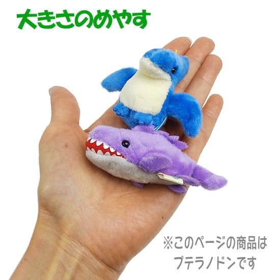 恐竜 おもちゃ ぬいぐるみ ぷちまる アミューズ Amuse プテラノドン 6 5cm 海の雑貨 水族館グッズ 動物ぬいぐるみ通販ショップ まんぼう屋ドットコム