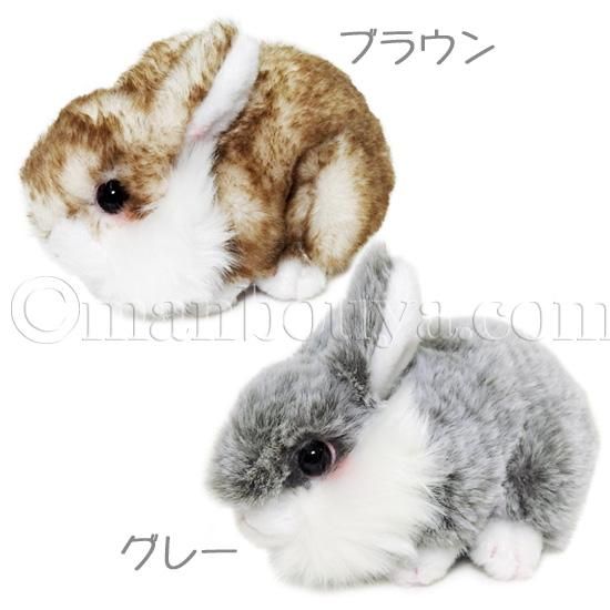 プチプチらんど（A）ウサギ 白 たけのこ ウサギのぬいぐるみ