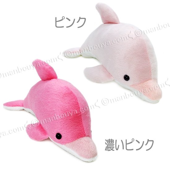 イルカ ぬいぐるみ 水族館 グッズ たけのこ TAKENOKO イルカ Sサイズ 23cm - 海の雑貨・水族館グッズ・動物ぬいぐるみ通販ショップ　 まんぼう屋ドットコム