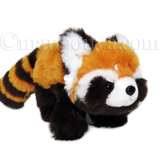 レッサーパンダ ぬいぐるみ キュート販売 CUTE くたくた