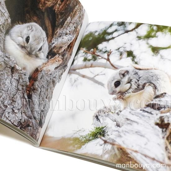 エゾモモンガ出品 モモンガ グッズ 写真集 動物 本 世界一かわいい エゾモモンガ
