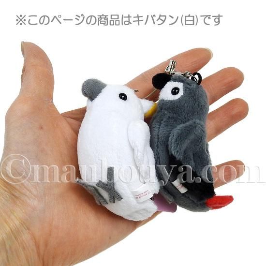 子供のためのカラフルなオウムのぬいぐるみ,シミュレートされた