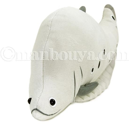 ナイフフィッシュ グッズ ぬいぐるみ 古代魚 A Show 栄商 わくわく図鑑 スポッテッド ナイフフィッシュ 40cm 海の雑貨 水族館グッズ 動物ぬいぐるみ通販ショップ まんぼう屋ドットコム ナイフフィッシュ グッズ ぬいぐるみ 古代魚 A Show 栄商 わくわく図鑑 スポッテッド ナイフフィッシュ 40cm 海の雑貨 水族館グッズ 動物ぬいぐるみ通販ショップ まんぼう屋ドットコム