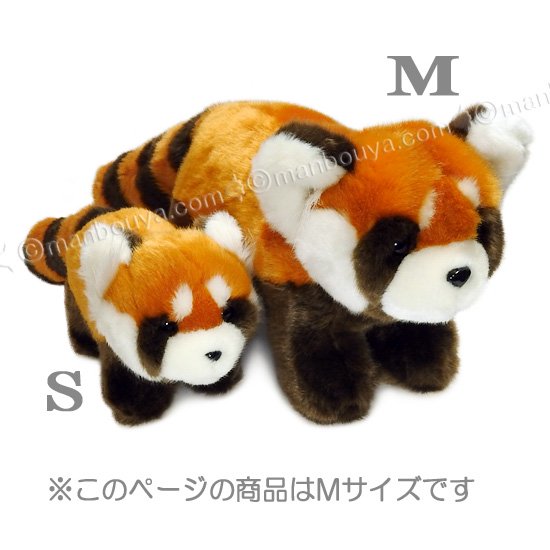 レッサーパンダ ぬいぐるみ 動物園 キュート販売 CUTE