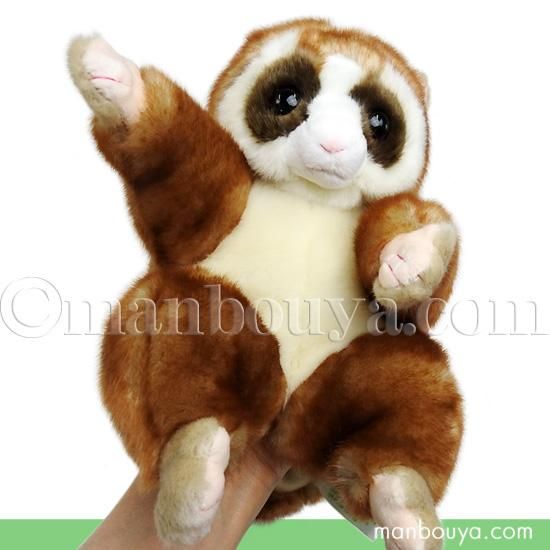 スローロリス ぬいぐるみ サル 動物園 キュート販売 Cute ハンドパペット 24cm 海の雑貨 水族館グッズ 動物ぬいぐるみ通販ショップ まんぼう屋ドットコム スローロリス ぬいぐるみ サル 動物園 キュート販売 Cute ハンドパペット 24cm 海の雑貨 水族館グッズ 動物ぬいぐるみ通販ショップ まんぼう屋ドットコム