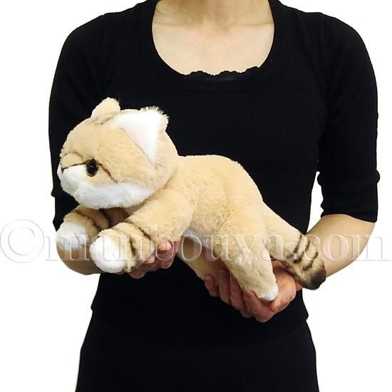 スナネコ ぬいぐるみ 猫 野生動物 キュート販売 CUTE くたくた
