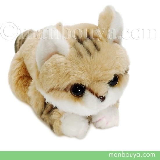 スナネコ ぬいぐるみ 猫 野生動物 キュート販売 CUTE くたくた